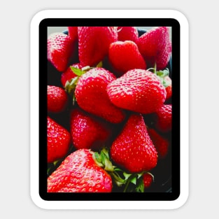 Juicy Red Strawberries Retro Aesthetic Photography Artwork Sticker